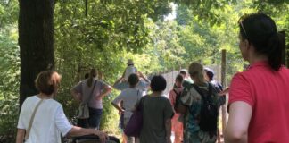 Die Natur können Besucher bei dem Aktionstag erkunden. Foto: Förderverein Wildgatter – Essen Heissiwald