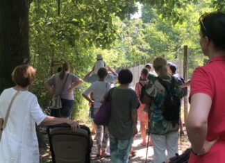 Die Natur können Besucher bei dem Aktionstag erkunden. Foto: Förderverein Wildgatter – Essen Heissiwald