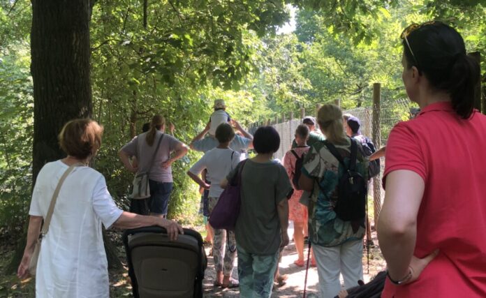 Heissiwald trifft Nachbarschaft Die Natur können Besucher bei dem Aktionstag erkunden. Foto: Förderverein Wildgatter – Essen Heissiwald