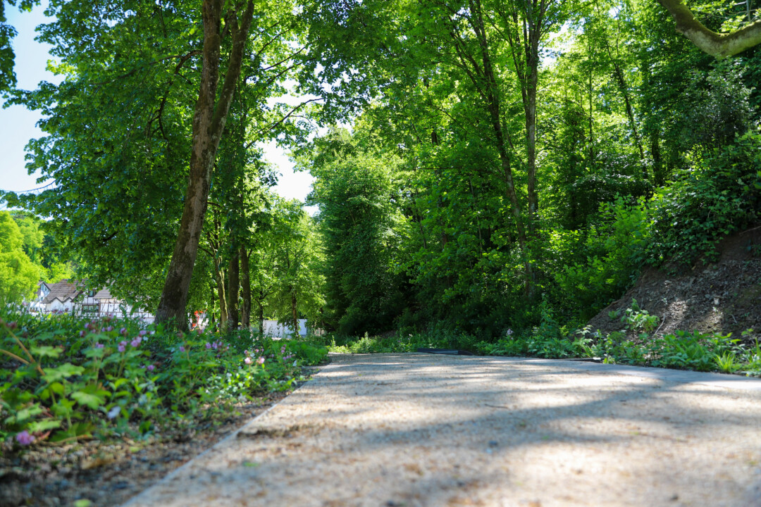 Der Weg wird barrierefrei von der Straße bis zur Vorburg führen. Foto: Volkmann