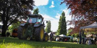 Diese Wiese im Nevigeser Stadtpark wurde zum Treffpunkt für Familien. Foto: Volkmann