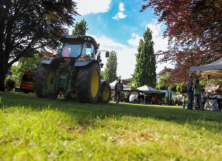 Diese Wiese im Nevigeser Stadtpark wurde zum Treffpunkt für Familien. Foto: Volkmann