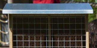 Die 50 Bausätze für Wildbienenhotels wurden in der Schreinerei der WSW vorbereitet und an interessierte Grundschulen und Kindergärten verteilt. Foto: WSW