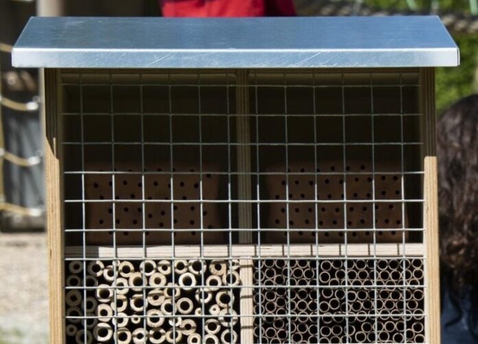 Die 50 Bausätze für Wildbienenhotels wurden in der Schreinerei der WSW vorbereitet und an interessierte Grundschulen und Kindergärten verteilt. Foto: WSW
