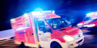 In Delbrück im Kreis Paderborn musste der Notarzt eine Frau nach einem Tigerbiss behandeln. (Symbolbild) 