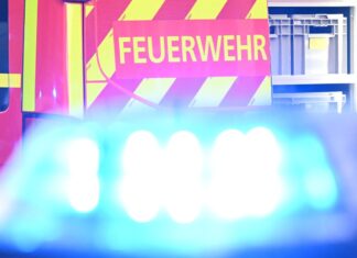 Bei zwei Einsätzen rettete die Feuerwehr mehrere Haustiere. (Symbolbild) 