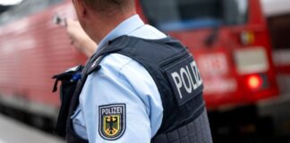 Beamte der Bundespolizei fanden in zwei Zügen in Nordrhein-Westfalen eine teure Geige und einen wertvollen Cellobogen. (Archivbild)