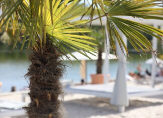 Zum Ende der Woche steigen die Temperaturen in Nordrhein-Westfalen auf über 20 Grad. (Symbolbild)