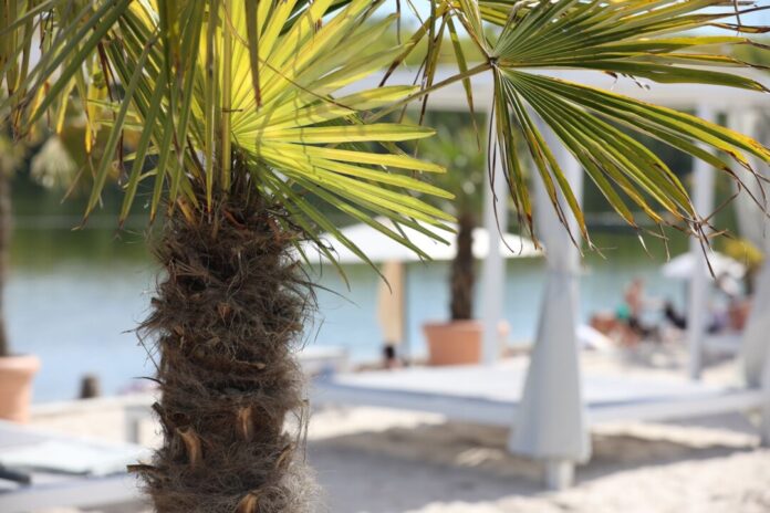 Wetterausblick zum Wochenstart Zum Ende der Woche steigen die Temperaturen in Nordrhein-Westfalen auf über 20 Grad. (Symbolbild)