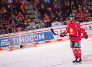 Alexander Barta war schon als Spieler für die DEG aktiv.