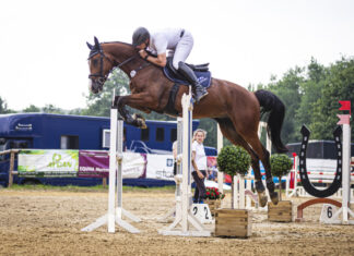 Auf der Reitanlage in Aprath findet ein Turnier statt- hier Marc Bödicker in Aktion. Foto: Oskar Siebers