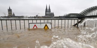 Hochwasser führen immer wieder zu massiven Schäden. Hier ein Foto vom Rhein-Hochwasser Anfang 2024, im Hintergrund ist der Kölner Dom zu sehen.