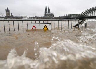 Hochwasser führen immer wieder zu massiven Schäden. Hier ein Foto vom Rhein-Hochwasser Anfang 2024, im Hintergrund ist der Kölner Dom zu sehen.