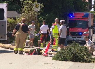 Der umgestürzte Maibaum liegt auf der Straße vor einem Einsatzwagen der Feuerwehr. 