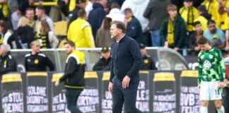 Wolfsburgs Trainer Hasenhüttl muss im Sommer wohl gehen.