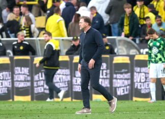 Wolfsburgs Trainer Hasenhüttl muss im Sommer wohl gehen.