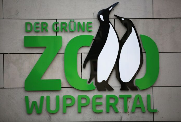 Protest gegen Zoos - Konflikt mit Influencer Zoo-Besuche sind bei vielen Menschen beliebt - Tierschützer machen jedoch artenschutzrechtliche Bedenken geltend. (Symbolbild)