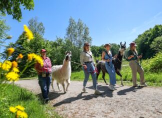 Wie lang die Wanderung werden soll, bestimmen die Wanderer.