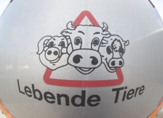 Aufnahmen einer Tierrechtsorganisation brachten die Ermittlungen ins Rollen. (Symbolfoto) 