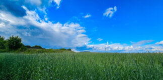 Der Sommer kommt - die Temperaturen ziehen an. Foto: Volkmann
