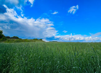 Der Sommer kommt - die Temperaturen ziehen an. Foto: Volkmann