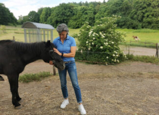 Vereinsvorsitzende Lydia Pache (hier mit Blacky, einem ihrer zwölf Schützlinge) ist dankbar, dass sie ein neues Zuhause für die Seniorpferde gefunden hat – auch wenn der Abschied von Gut Rodeberg schwerfällt. Foto: Nicole Marschall