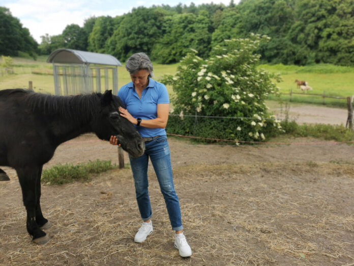 Vereinsvorsitzende Lydia Pache (hier mit Blacky, einem ihrer zwölf Schützlinge) ist dankbar, dass sie ein neues Zuhause für die Seniorpferde gefunden hat – auch wenn der Abschied von Gut Rodeberg schwerfällt. Foto: Nicole Marschall