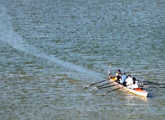 Im Gegensatz zum Rudern kann Schwimmen im Rhein schnell lebensgefährlich werden.