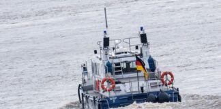 Auch die Einsatzkräfte suchten vergeblich nach dem Mann im Rhein. (Symbolbild)