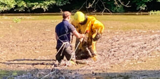 Die Feuerwehr rettete das Kind aus dem Matsch. Foto: FW Mettmann