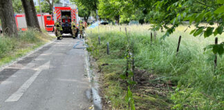 Bei einem Brand wurde ein Feldrand beschädigt. Die Polizei ermittelt. Foto: Polizei