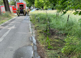 Bei einem Brand wurde ein Feldrand beschädigt. Die Polizei ermittelt. Foto: Polizei