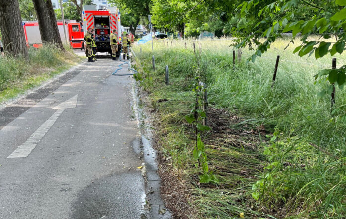 Bei einem Brand wurde ein Feldrand beschädigt. Die Polizei ermittelt. Foto: Polizei