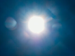 Die Sonne beweist dieser Tage ihre Kraft. Foto: Volkmann