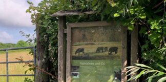 Auf den Tafeln werden die Lebensräume und ihre Bewohner in Wort und Bild vorgestellt. Foto: Kreis ME