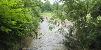Angerbach in Ratingen, Bild: Alexander Heinz