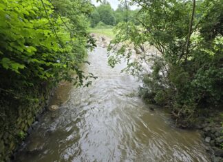 Angerbach in Ratingen, Bild: Alexander Heinz