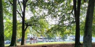 Ein Seilgarten für die Immermannstraße. Foto: Stadt Erkrath