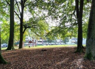 Ein Seilgarten für die Immermannstraße. Foto: Stadt Erkrath