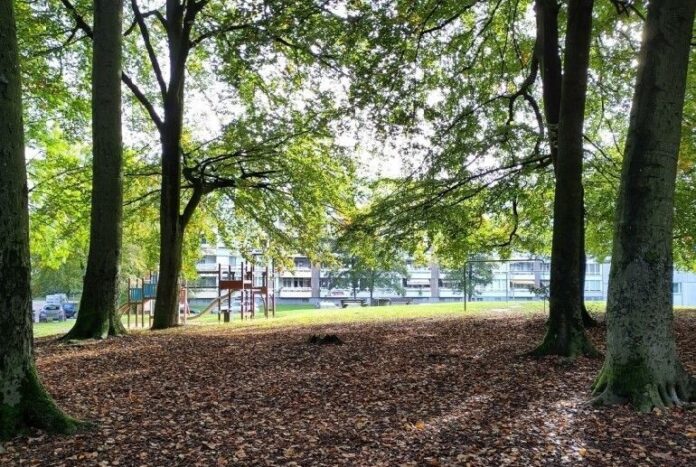 Ein Seilgarten für die Immermannstraße. Foto: Stadt Erkrath