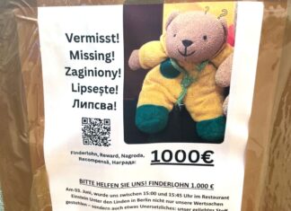 Ein Plakat zu einer Suchaktion. (Archivbild)