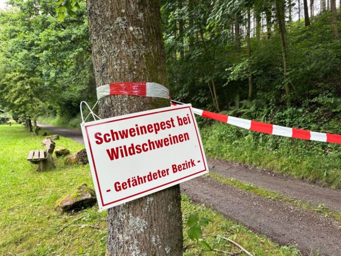 Die Afrikanische Schweinepest ist im Sauerland angekommen - ein Schild in Kirchhundem warnt vor dem Virus.