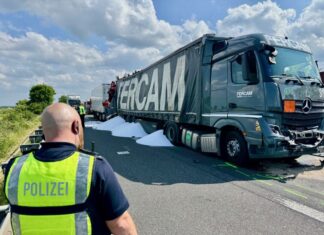 Bei dem Unfall am Montagnachmittag war ein Lkw-Fahrer gestorben.