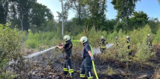 Einsatzkräfte bekämpfen nach dem Waldbrand noch Glutnester.