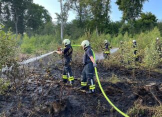 Einsatzkräfte bekämpfen nach dem Waldbrand noch Glutnester.