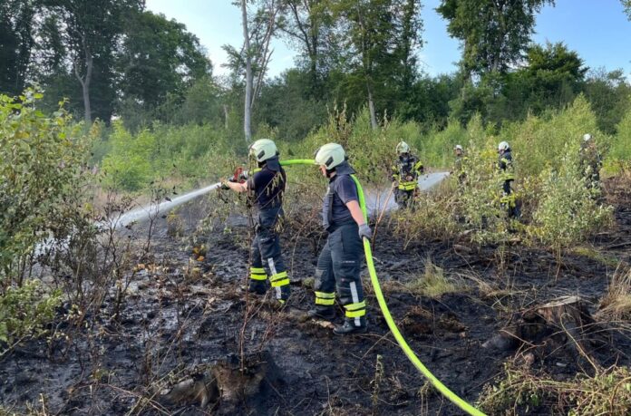 Einsatzkräfte bekämpfen nach dem Waldbrand noch Glutnester.