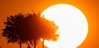 Hitze in Deutschland: Tage mit extremer Belastung werden häufiger.