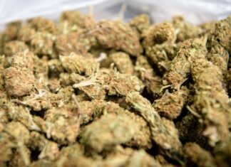 Gestohlenes Marihuana soll der Anlass für eine geplante Entführung gewesen sein. (Symbolbild)