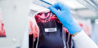 Mit einem halben Liter Blut können bis zu drei Patienten versorgt werden. (Archivbild)