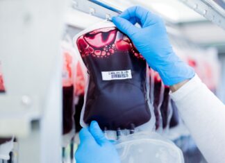Mit einem halben Liter Blut können bis zu drei Patienten versorgt werden. (Archivbild)
